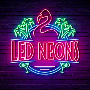 Led Neon Display